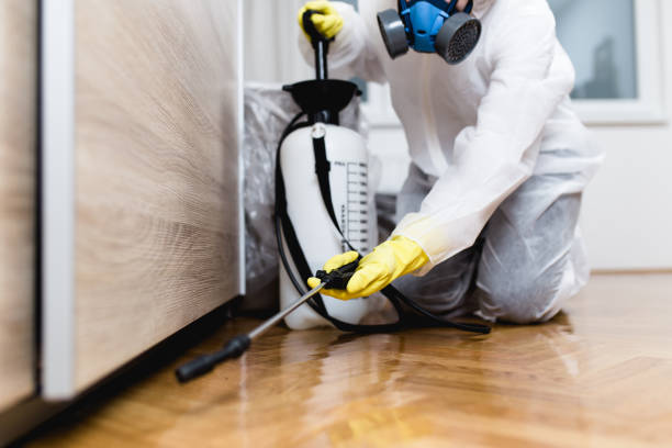 Professional Pest Control in Timber Pines, FL