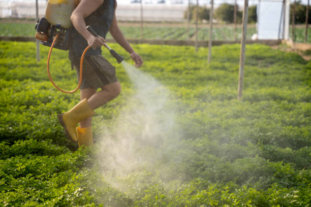 Pest Prevention Services in Timber Pines, FL