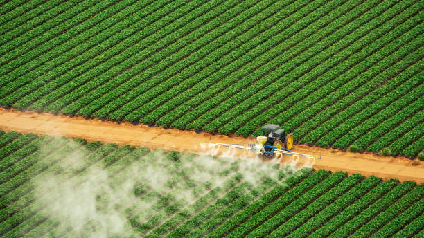 Best Best Pest Control Companies  in Timber Pines, FL
